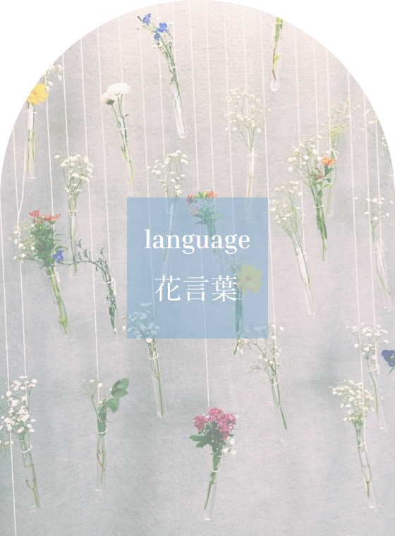 複数の花が吊られて飾ってある