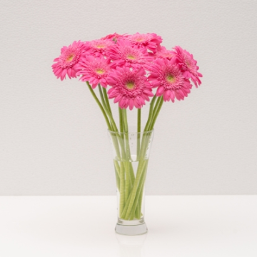 ガーベラの花